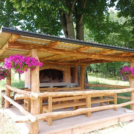 Farma & Apartmani II Opg Sasa Delic Grabusic Kültér fotó