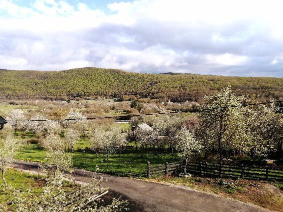 Farma & Apartmani II Opg Sasa Delic Grabusic Kültér fotó