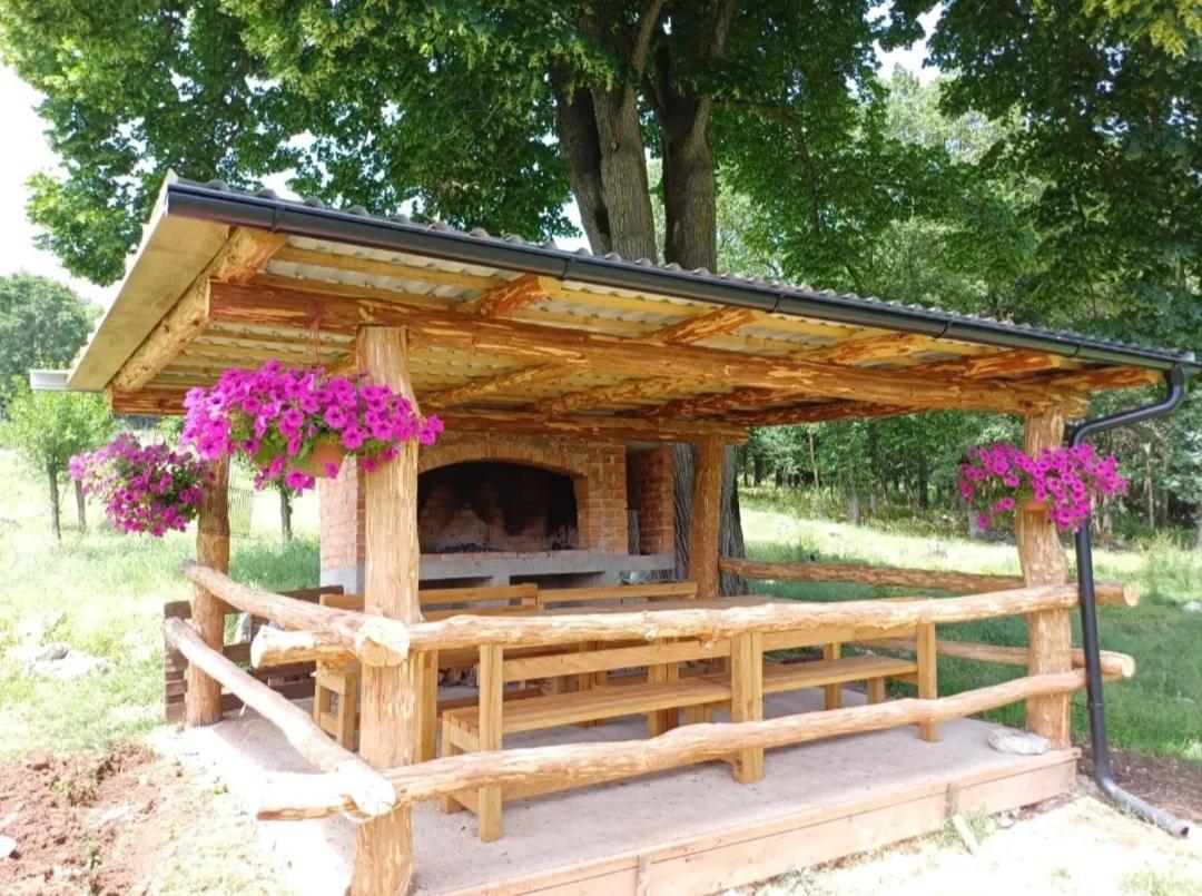 Farma & Apartmani II Opg Sasa Delic Grabusic Kültér fotó